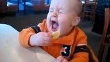 Babies Taste Lemons for the First Time