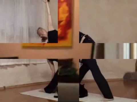 Funny Collection Of Cat Videos