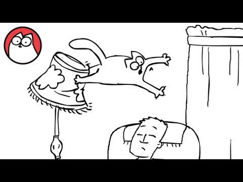 Simon ‘s Cat : Fly Guy