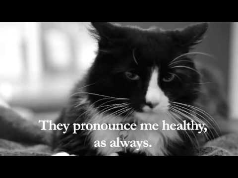 Henri 3 : Le Vet