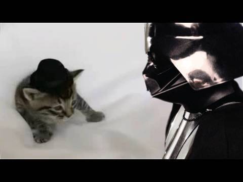 Chad Vader Threatens Kitten Wearing a Hat