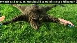 Dead Cat turned into Remote Controlled Helicopter